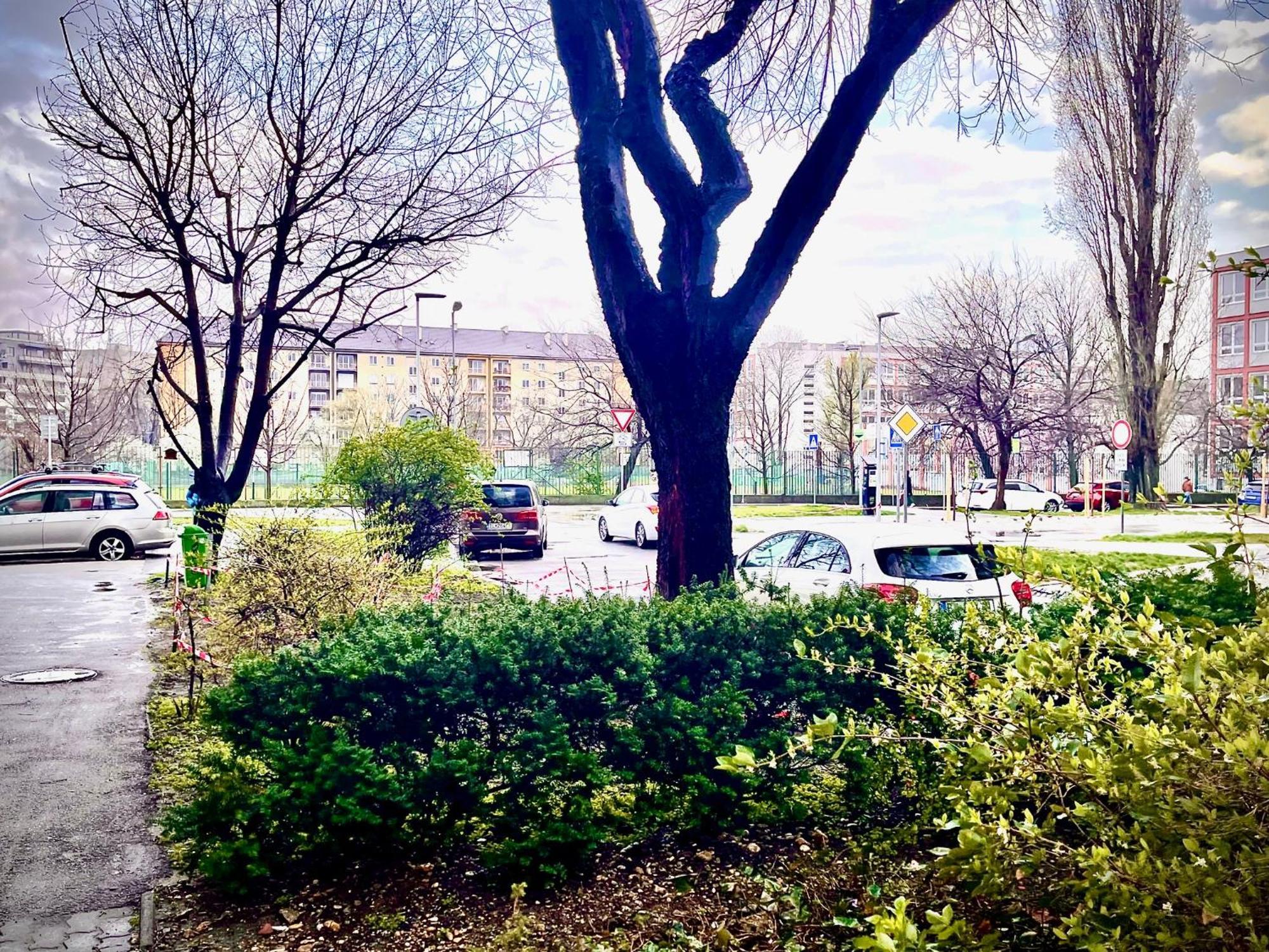 Apartmán Center